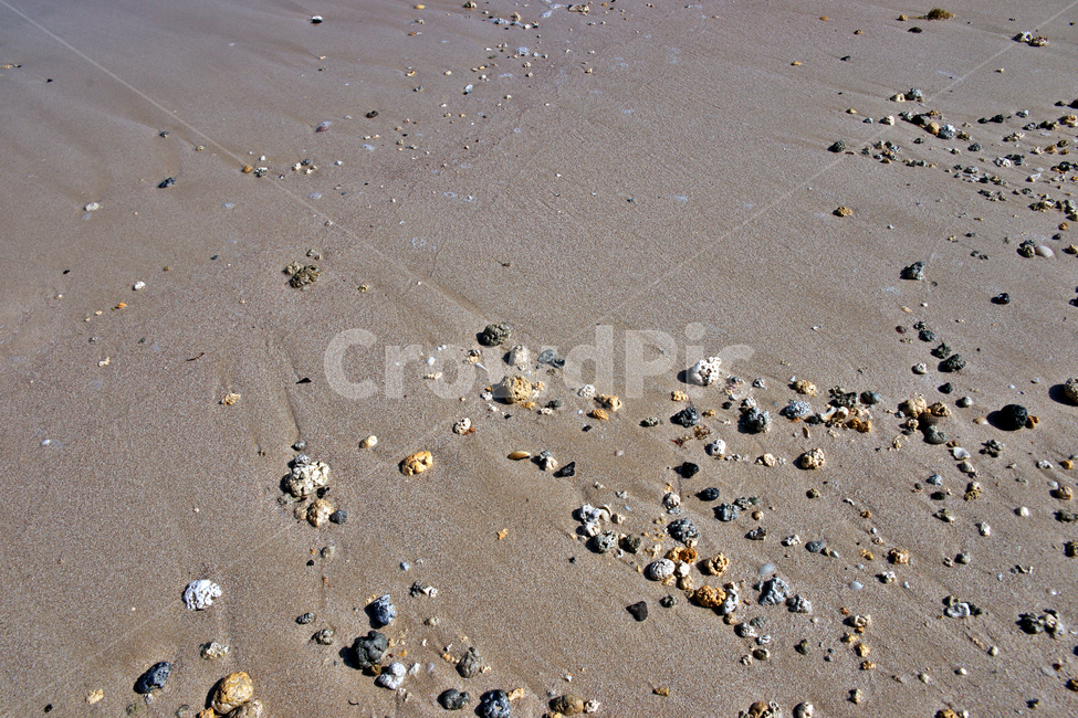 해변,모래밭,해수욕장,모래,돌,바다,해변,바다,beach,sea