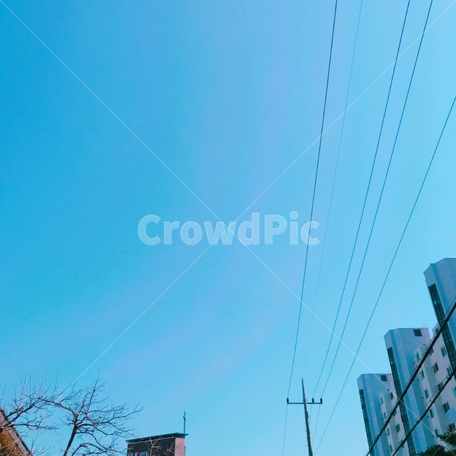 푸른하늘,하늘,풍경,구름없는,sky,도시,풍경,city,landscape