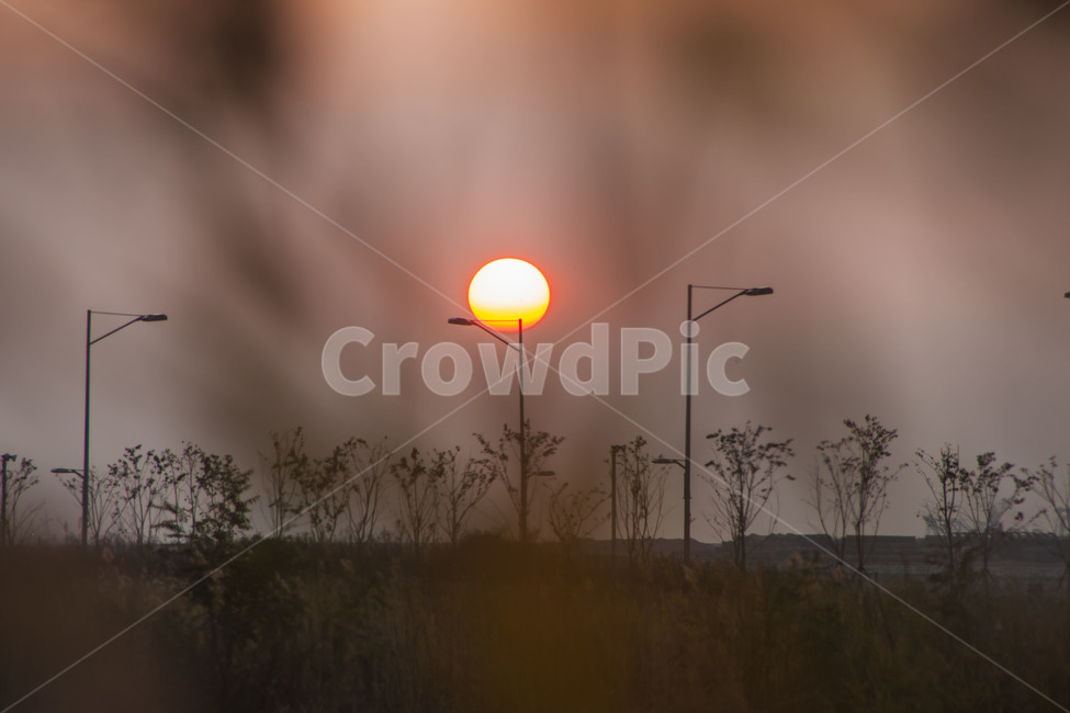 송도,신도시,가로등,노을,석양,갈대,공원,자연,풍경,nature,landscape,outdoors,옥외,sky,하늘,dawn,새벽,sunset,일몰,red sky,붉은 하늘,dusk,황혼