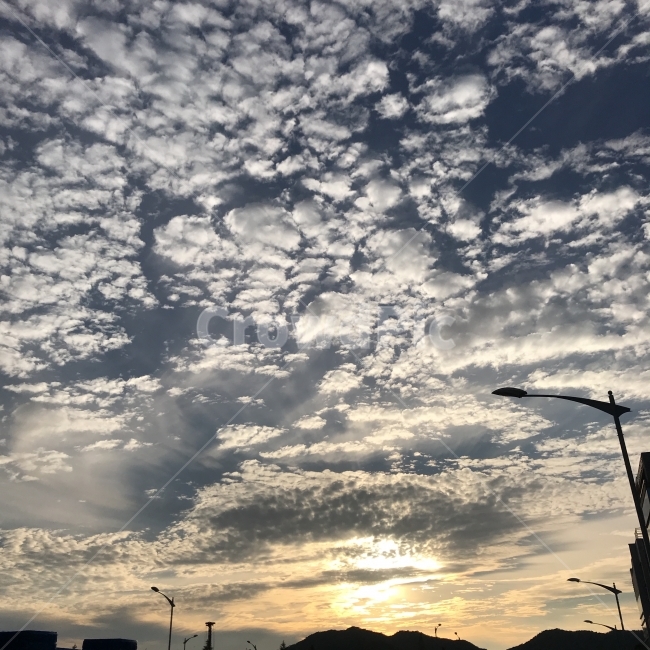 전라남도,여수,죽림,하늘,풍경,노을,스마트폰,촬영,사진촬영,사진,구름,자연,풍경,nature,landscape