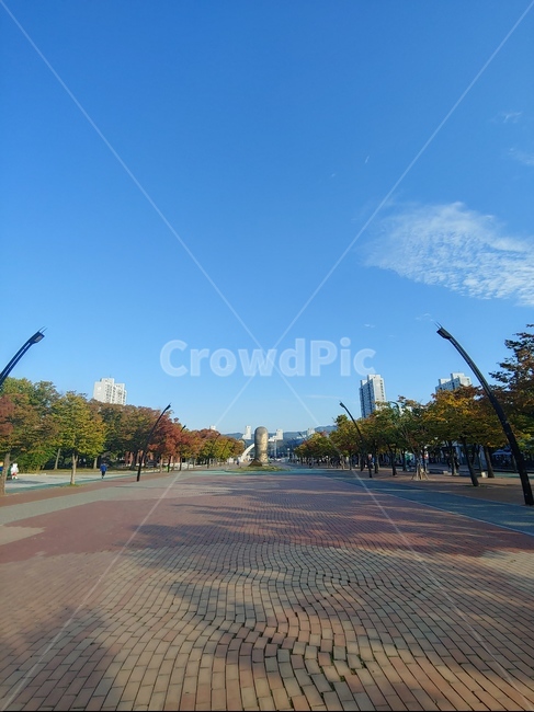 풍경,공원,올림픽공원,가을하늘,파란하늘