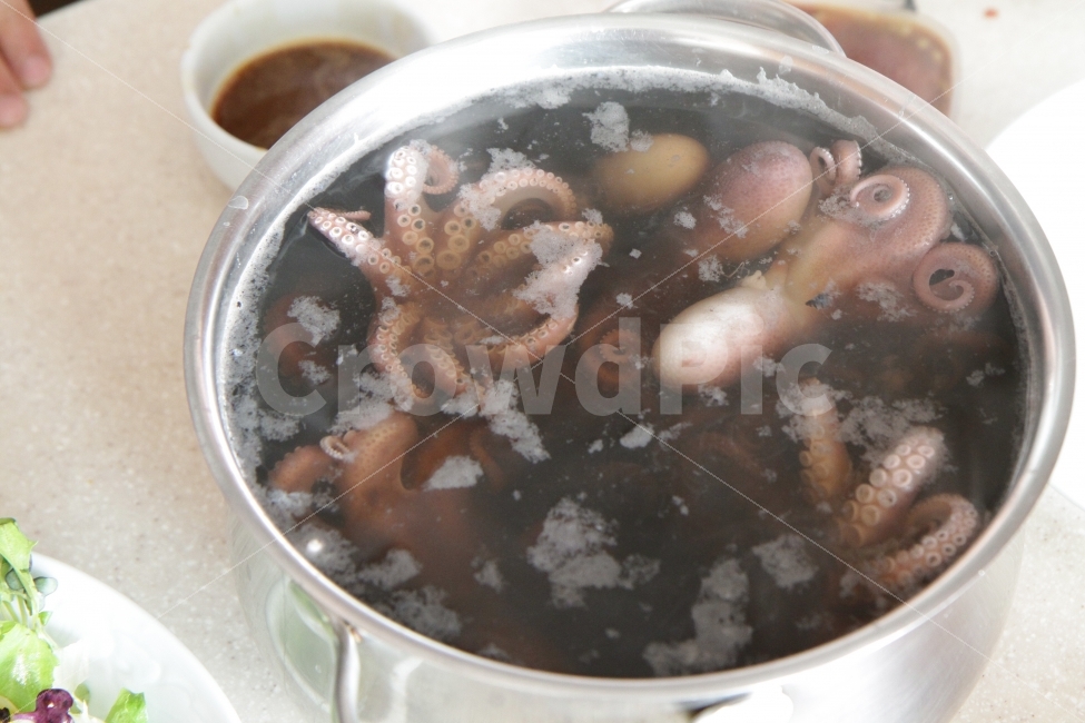 쭈꾸미,한국음식,씨푸드,제철음식,해산물,음식,식재료,요리,food,cook,meal,dishes,food reserves,수산물,해산물,fishery products,seafood