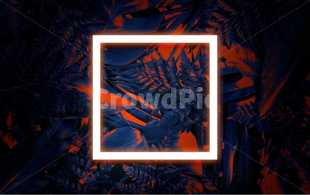 prepare,neon,Botanical Frame,Botanical,Tropical,leaf,summer,neon frame,background image,palm tree,reversal,Neon,light,background,tropics,plant,neon sign,jungle,frame,Photo Frame