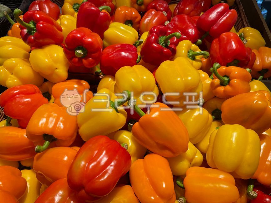 파프리카,paprika,음식,야채,빨강,노랑주황,비타민,건강한,색깔