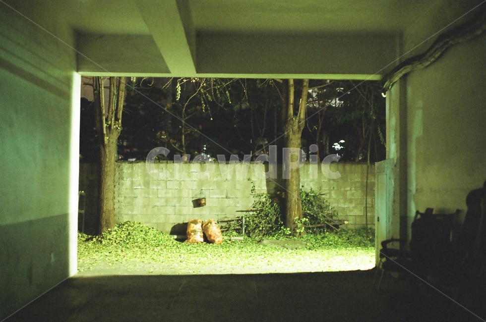 골목,골목길,감성,필름,필름카메라,골목길,alley