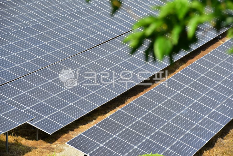 태양광,신재생,태양전지,태양열전지,태양광전지,태양광전지패널,신재생에너지,에너지,발전소,태양광발전,전기장치,전기,태양열발전,태양열,솔라패널,전력생산,전력,에너지산업,집열판,패널,태양광패널,판넬,친환경,환경,에코,발전,녹색발전,녹색에너지,자원,기술,대체에너지,재생에너지,친환경에너지,산업,발전산업,energy,electrical,electricaldevice,solar,solarpanel,panel,나무,나뭇잎,잎,녹색잎,녹색,green,전지