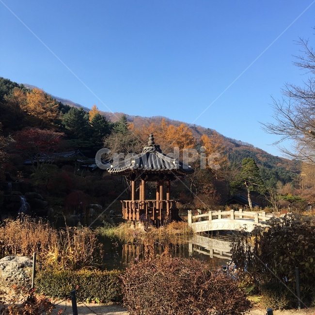 가을풍경,단풍,가을하늘,전통,nature,가을,계절,fall,autumn,season,한국전통,한국문화,korean traditional,korean culture