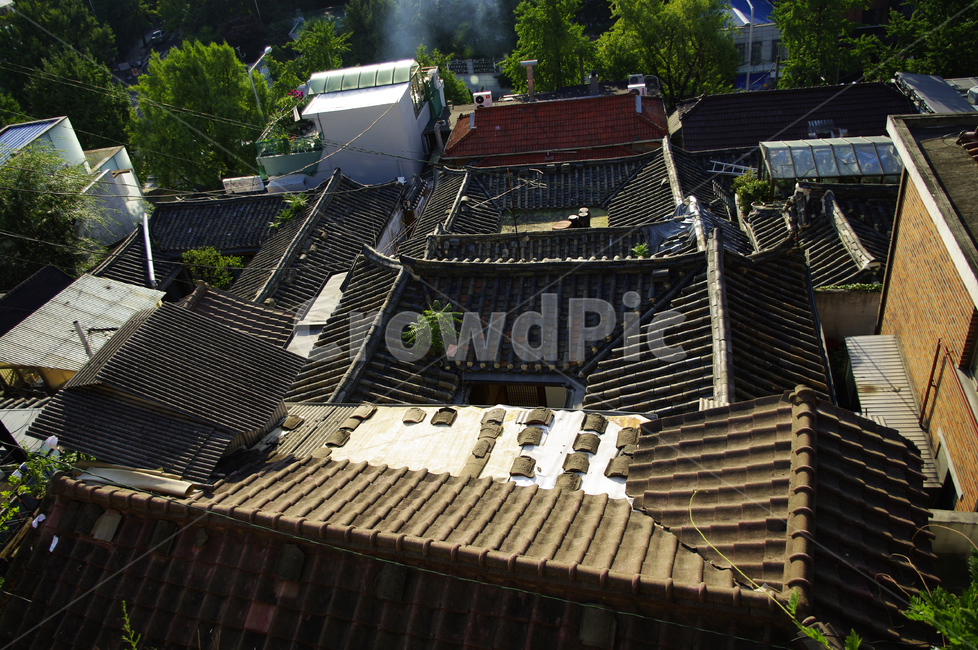 전통가옥,한옥,기와지붕,지붕,주택,한국,roof,tile roof,기와 지붕