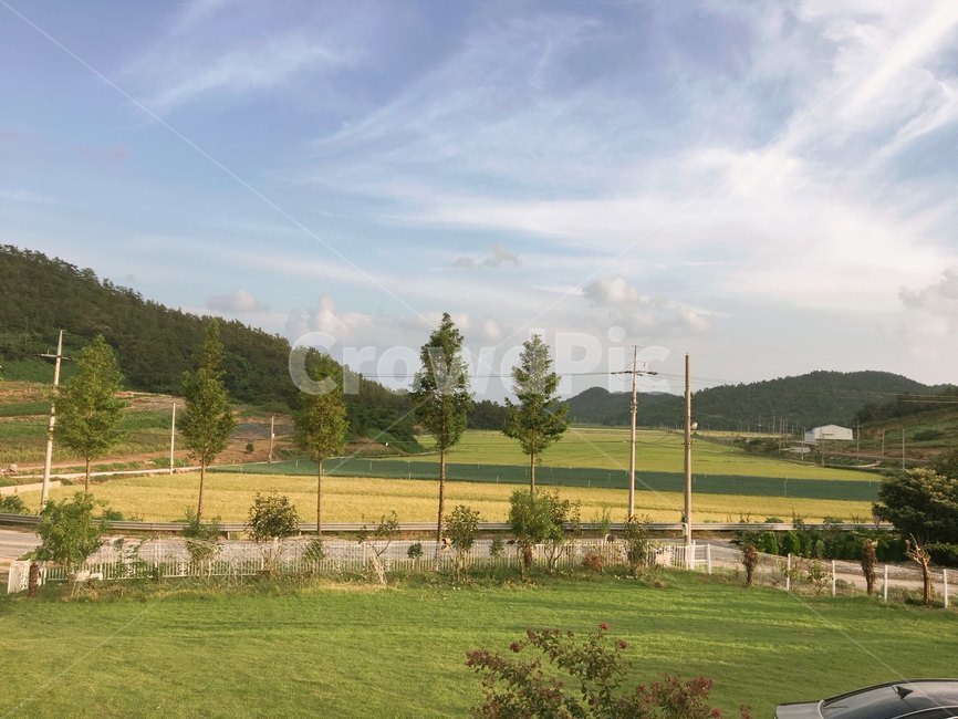 하늘,들판,풍경,구름,잔디,자연,풍경,nature,landscape,field,들,grass,plant,식물,outdoors,옥외