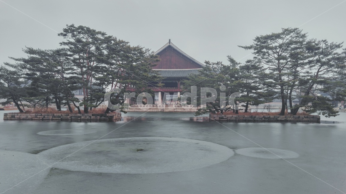 경복궁,서울,관광,한국,소나무,기와,궁,한옥,처마,전통가옥,조선,겨울,연못,겨울,계절,winter,season,한국전통,한국문화,korean traditional,korean culture,랜드마크,landmark,tourist attraction,한국랜드마크,한국관광지,한국명소,korea landmark,korea tourist attraction