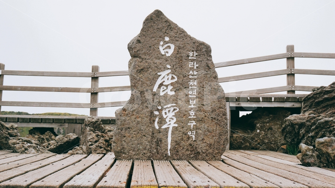 여행,travel,여행사진,국내여행,혼자여행,사진,배경사진,배경,이쁜사진,색감,색감좋은사진,제주도,제주도여행,제주,한라산,정상,제주도,jeju,jeju island,wood,나무