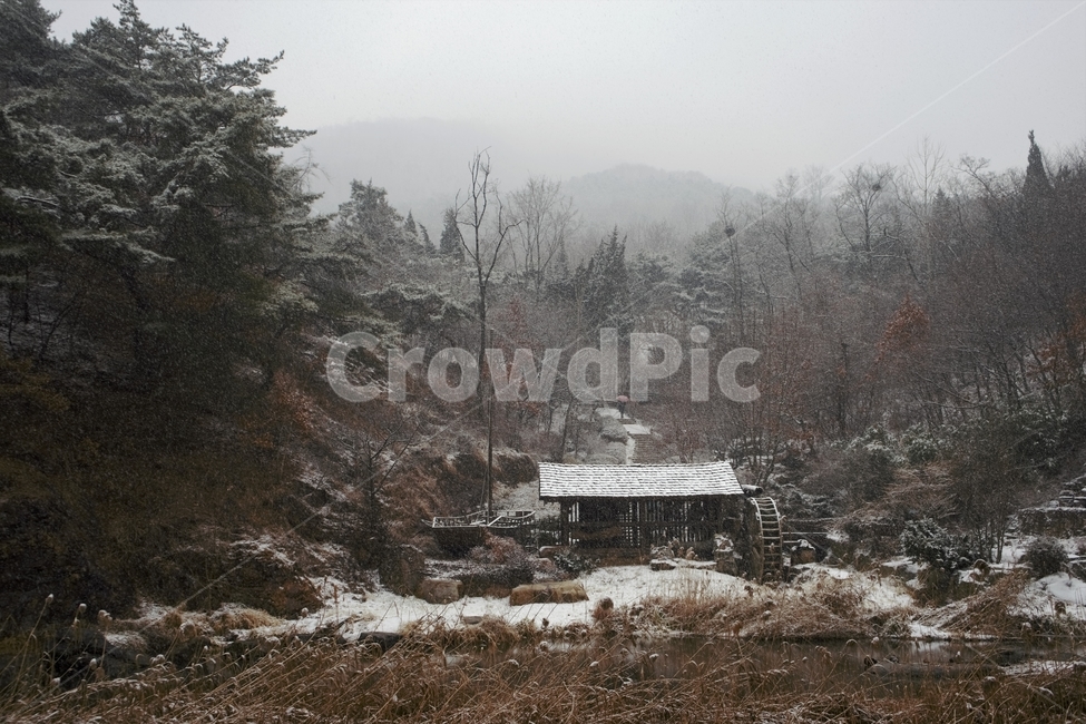 겨울,눈,물레방아,너와집,자연,계절,winter,감성,기분,feeling,watermill,snow,지붕,숲,나무,갈대,홍제천,겨울,계절,winter,season,자연,풍경,nature,landscape,한국자연풍경,한국자연경관,korea nature landscape,시골,마을,country,rural,town,outdoors,옥외,building,건물,shelter,피난처,농촌