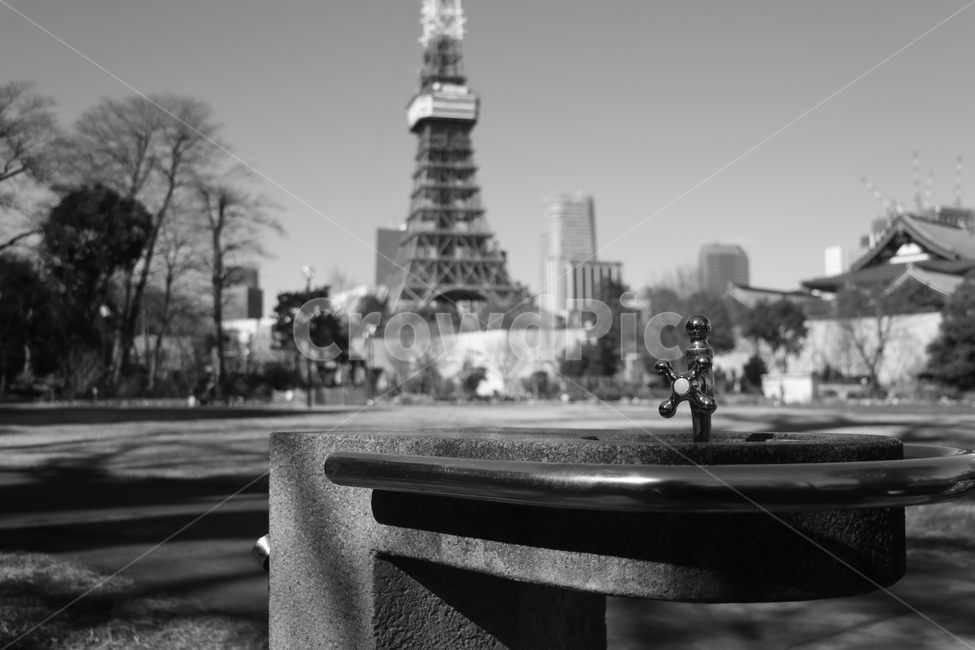 일본,도쿄,도쿄타워,흑백사진,감성,아웃포커싱,tokyo,tokyotower