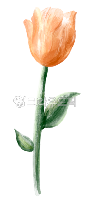 튤립,꽃,그림,일러스트,수채화,낙서,꽃한송이,손그림,봄,아름다운,자연,잎,flower