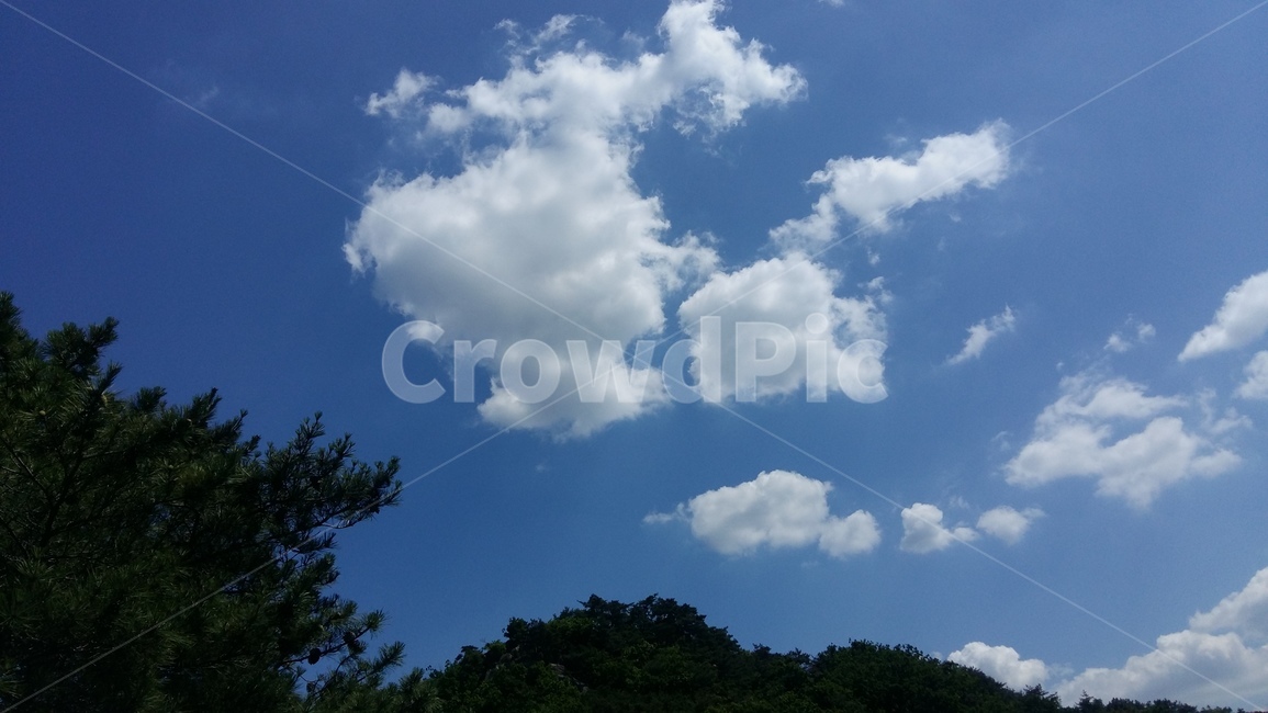 구름,소나무,관악산,삼성산,하늘