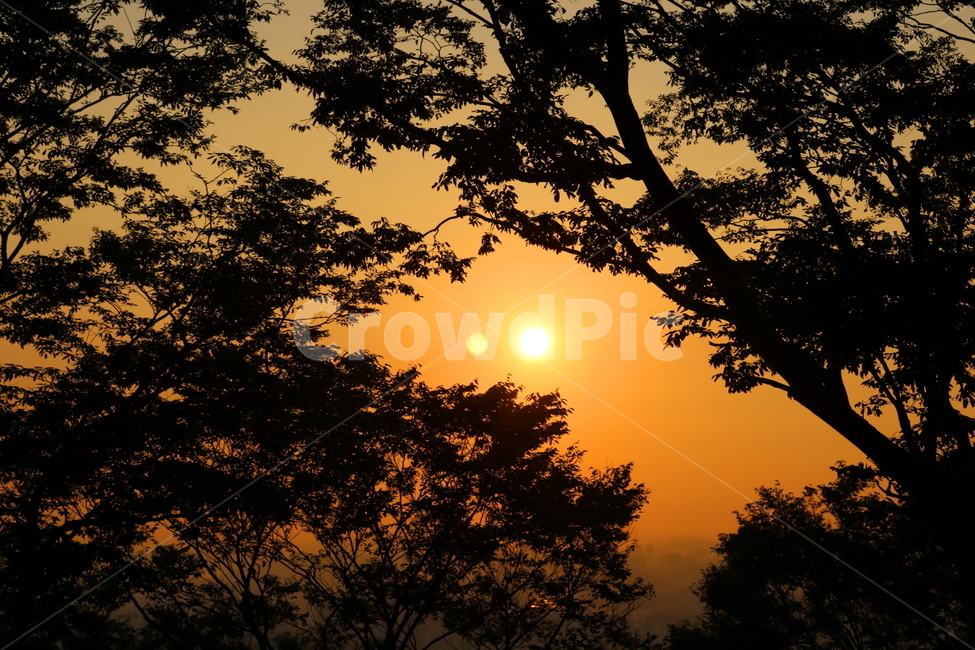 노을,석양,하늘,자연,나무,태양,붉은노울,자연,풍경,nature,landscape,실루엣,그림자,silhouette,shadow,sunlight,햇빛,outdoors,옥외,light,빛,flare,플레어,dawn,새벽,dusk,황혼,red sky,붉은 하늘,sunset,일몰,sky