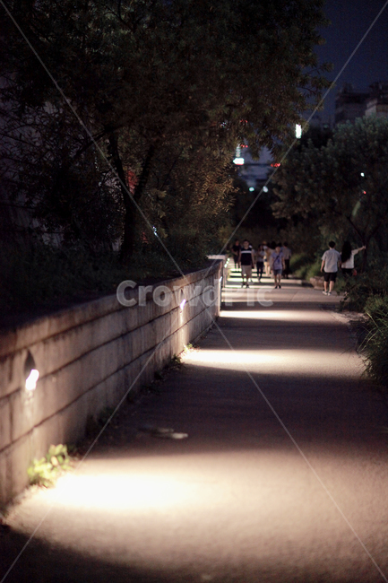 공원,조명,그림자,야경,불빛,골목,감성,야경,밤,풍경,nightscape,night,landscape,사람들,대중,군중,other people,crowd,path,통로