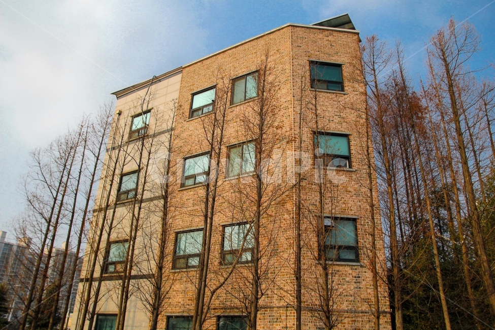 빌딩,building,나무,자연,조화,건물,건축물,건물외관,exterior,building,structure,architecture,construction