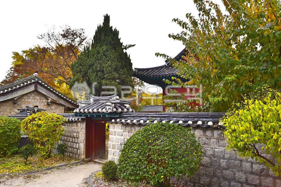 성균관,교육,교육기관,유학,관아,고려시대,조선시대,전통건축물,기와집,한국전통,역사,히스토리,history,education,건축양식,traditional,건물,건축물,옥외,가을,은행나무,building,architecture