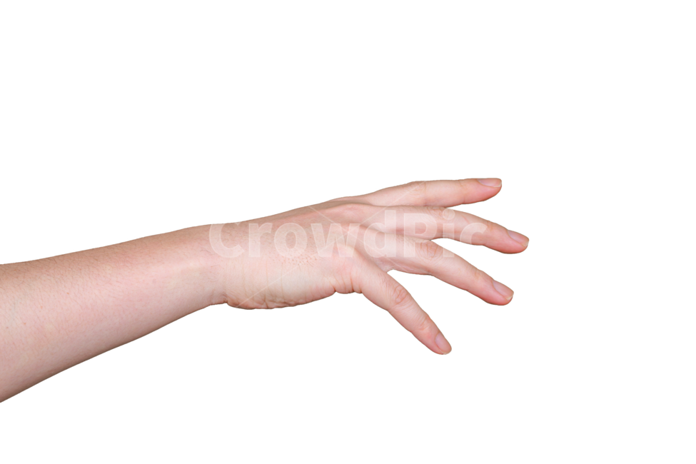 손,오른손,손동작,손모양,손목,손가락,신체,사인,표현,hand,human,person,wrist,기다림,붙잡다,신체일부,몸,body,누끼,remove background