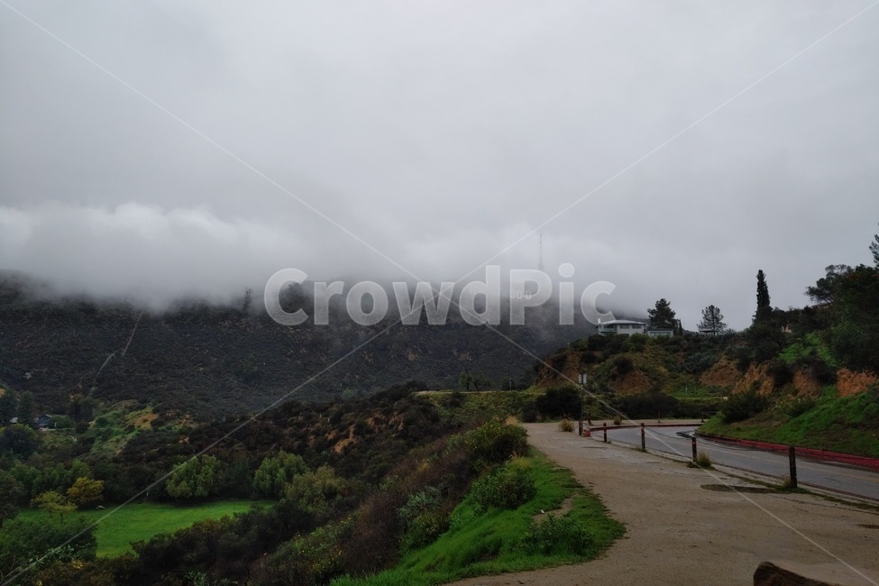 나무,tree,자연,날씨,nature,weather,구름,cloud,hollywood