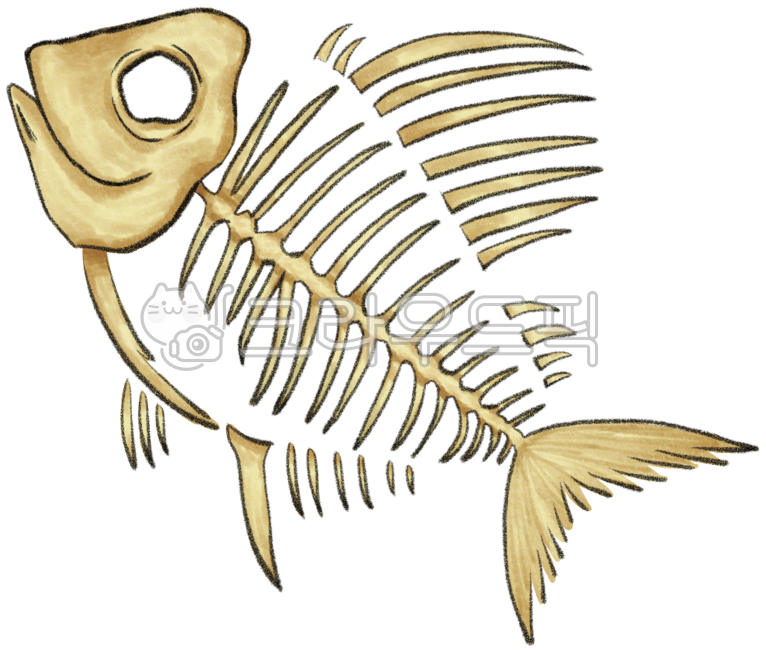 생선,생선뼈,화석,화석그림,화석도안,화석일러스트,생선뼈화석,생선뼈일러스트,생선뼈그림,물고기,물고기뼈,물고기뼈도안,물고기화석