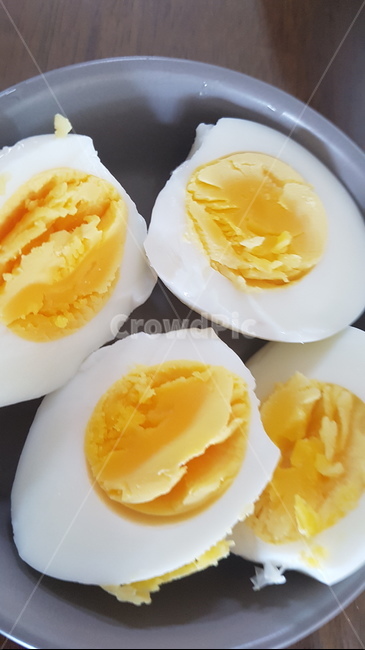 음식,egg,계란,food,달걀