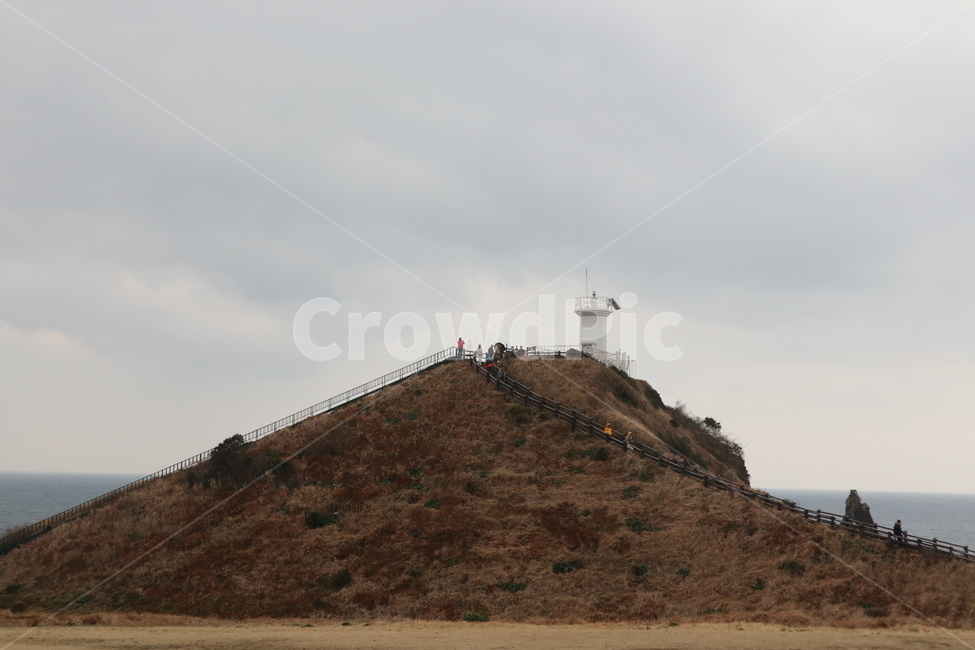 제주도,봄,유채꽃,따뜻함,꽃,섭지코지,투수판,목초지,grassland,mound,들,옥외,field,outdoors,자연,풍경,nature,landscape