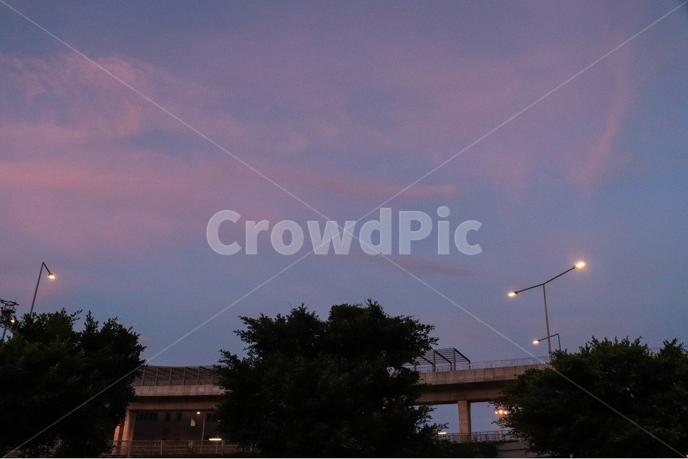 하늘,불빛,감성,오후,도로,road,보라색,가로등,sky,구름