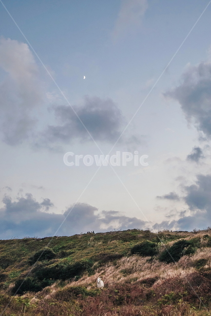 자연,nature,말,horse,제주도,달,초승달,moon,하늘,sky,자연,풍경,nature,landscape