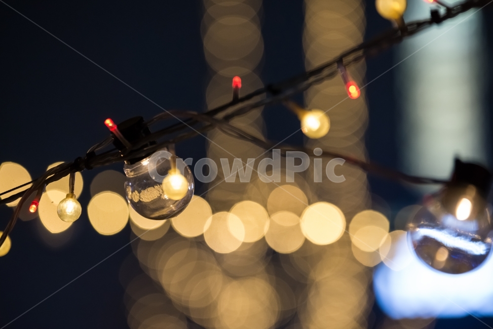 크리스마스,전구,빛,불빛,겨울밤,야경,공원,축제,꼬마전구,LED,풍경,야외,도시,밤,보케,투명,반짝임,전구장식,조명,장식전구,빛망울,환상,예술,판타지,아름다움,눈부심,아트,조각,크리스탈,사진작가,포토그래퍼,photographer,겨울,계절,winter,season,야경,밤,풍경,nightscape,night,landscape,기념일,축하,anniversary,congratulation,celebrate,celebration,메리크리스마스,성탄절,merry christmas,감성,sensible,feeling,light,lightbulb