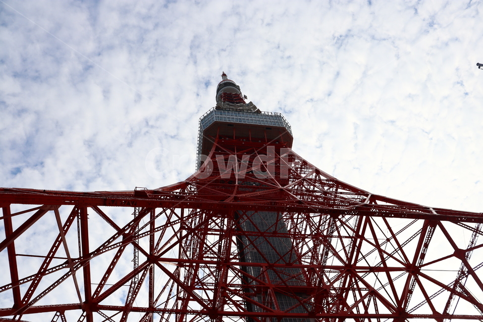 건축물,tower,탑,building,건물,뾰족한탑,첨탑,도쿄,일본,도쿄타워,tokyo,japan,tokyotower,랜드마크,landmark,tourist attraction,해외,외국,세계,foreign,oversea,world,세계랜드마크,해외랜드마크,외국랜드마크,world landmark,world tourist attraction,건축물,건물외관,exterior,building,structure,architecture,construction,steeple,뾰족한 탑,spire
