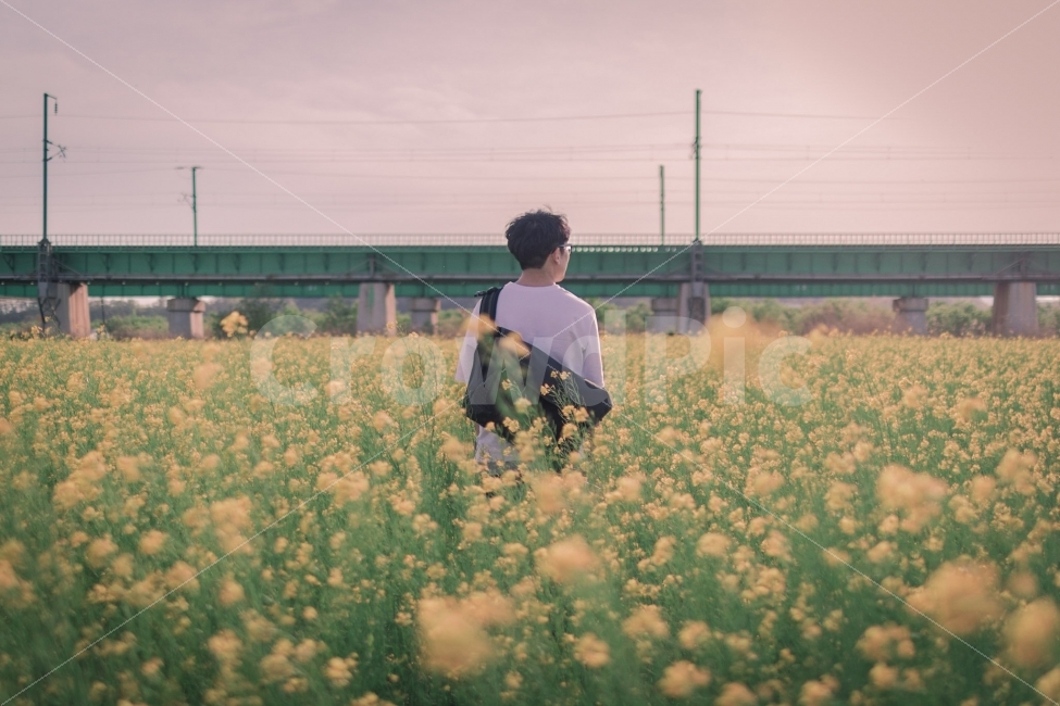 꽃,꽃밭,유채꽃,풍경,감성,자연,풍경,nature,landscape,봄,계절,spring,season,사람,인물,인간,human,person,남성,남자,man,male,감성,sensible,feeling,field,들,outdoors,옥외,grassland,목초지