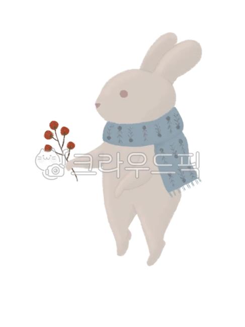 토끼, 동물, 산토끼, animal, rabbit, 사진,이미지,일러스트,캘리그라피 - Rony and작가