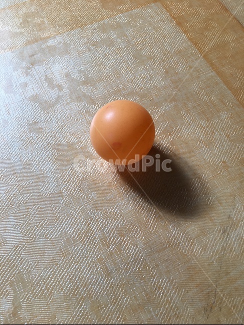 sphere,구체,egg,계란,food,음식,탁구공,탁구,운동,실내,옥내