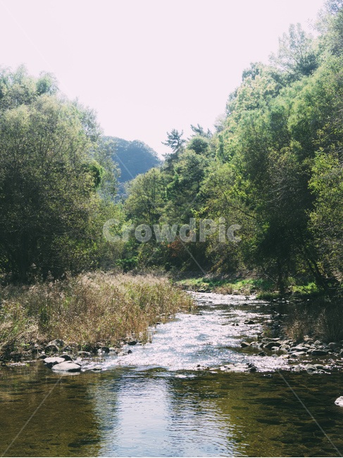 강,물,풍경,자연,stream,water,nature,자연,풍경,nature,landscape