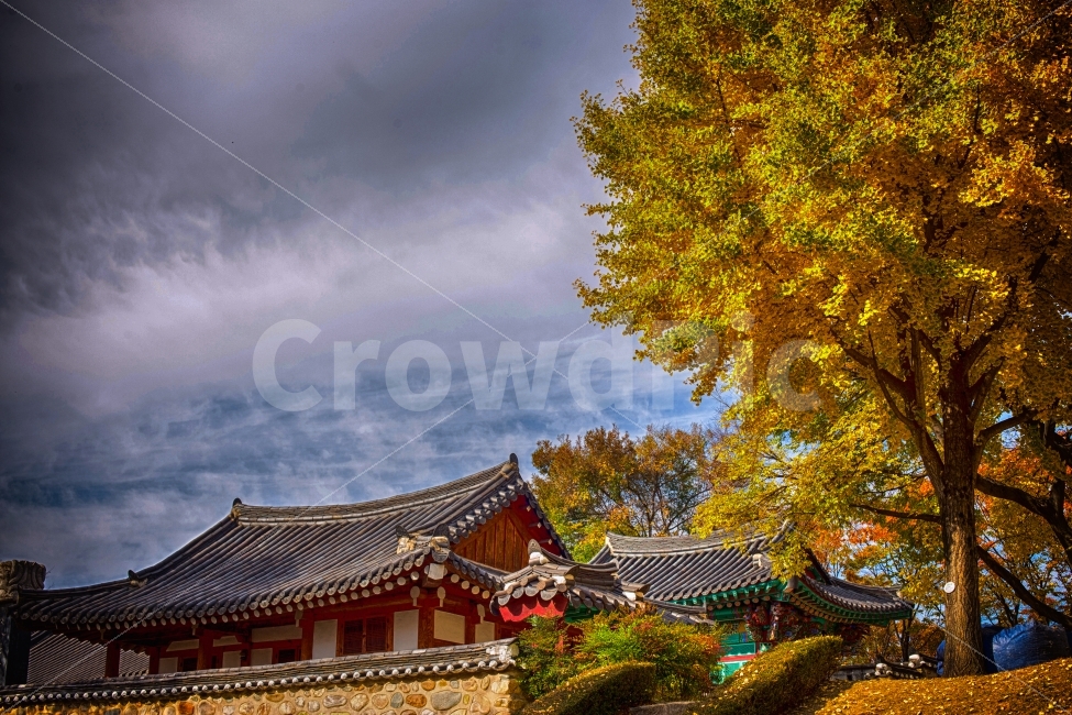 가을,은행나무,노랑노랑,HDR,진주성,가을,계절,fall,autumn,season,한국전통,한국문화,korean traditional,korean culture,랜드마크,landmark,tourist attraction,한국랜드마크,한국관광지,한국명소,korea landmark,korea tourist attraction,building,건물,shrine,신사,pagoda,탑,architecture,건축물,temple,신전,worship,예배