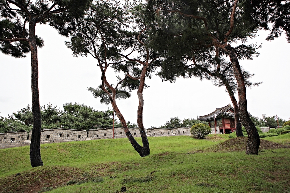 수원화성,성,성곽,길,둘레길,담,돌담,가을,자연,풍경,벽,방어벽,전통,흙담,식물,한국전통,한국문화,korean traditional,korean culture
