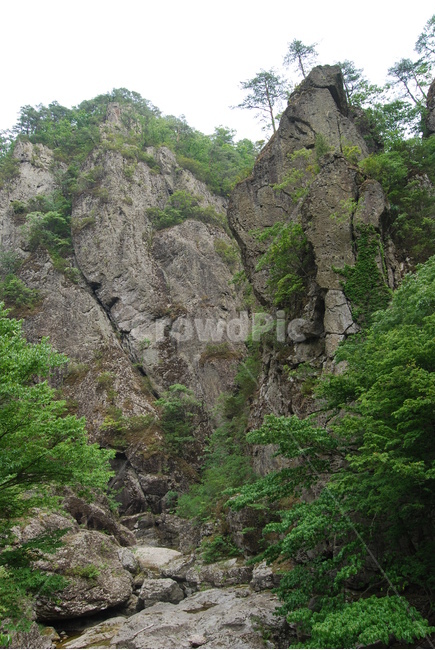 주왕산,용연폭포,학소대,주왕굴,아들바위,자연의위대함,등산로,능선,아름다움,신비스런산,돌,산행,힐링,자연,감성,등산,계절,여행,한국,한국명산,한국등산,풍경,눈,나무,하늘,바람,바람소리,환경,생태계,산,땅,자연,풍경,nature,landscape,한국자연풍경,한국자연경관,korea nature landscape,cliff,낭떠러지,outdoors,옥외