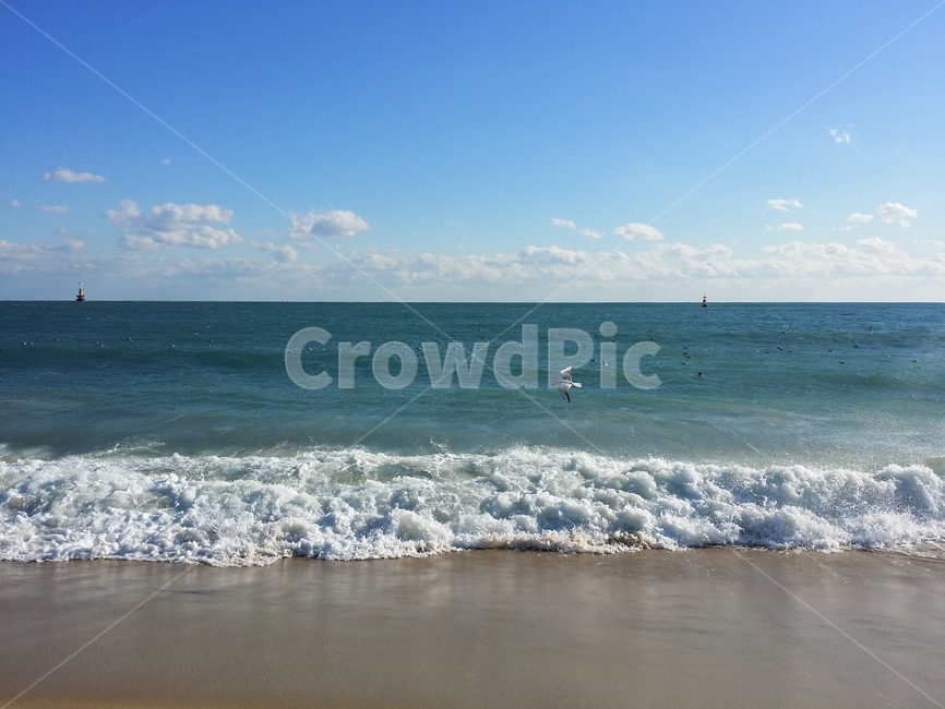 바다,해운대,갈매기,파도,동해안,하늘,파란색,sea,모래,여름,시원,sky,풍경,ocean,beach,gull,wave,자연,물,물놀이,해변,모래사장,겨울바다,바닷물