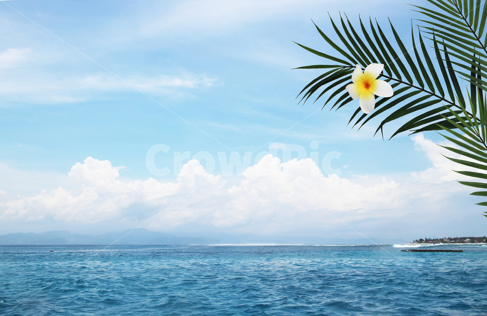 summer,여름,tropical,자연,nature,바다,파도,수면,파란,하늘,구름,깨끗한,맑은,날씨,장관