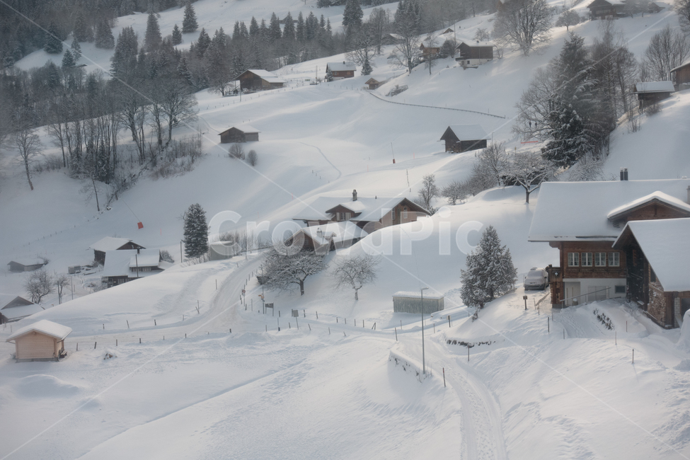 스위스,산,알프스,융프라우,겨울,눈,겨울왕국,swiss,mountain,alps,jungfrau,winter,snow,frozen,nature,자연,outdoors,옥외,겨울,계절,winter,season,해외,외국,세계,foreign,oversea,world
