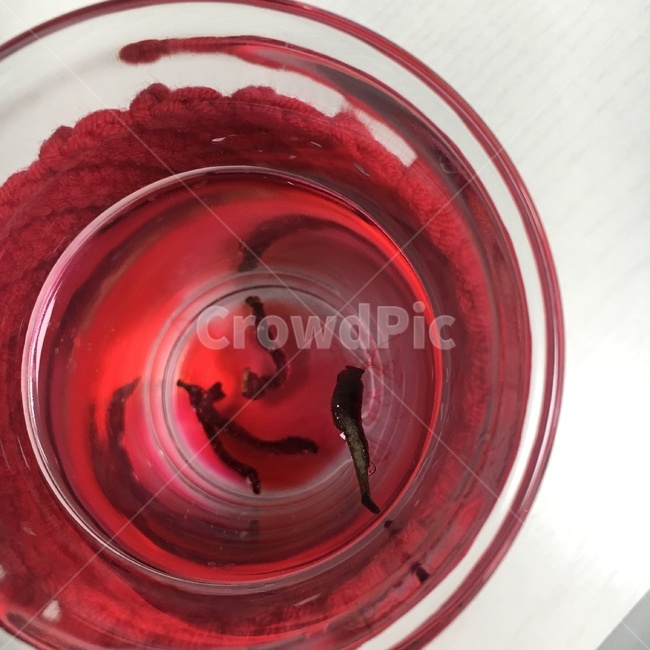 비트차,잉크,색이번지는,티잔,붉은색,찻잔,투명한컵,투명컵,음료수,drink,beverage