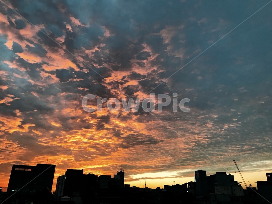 하늘,노을,구름,풍경,sunset