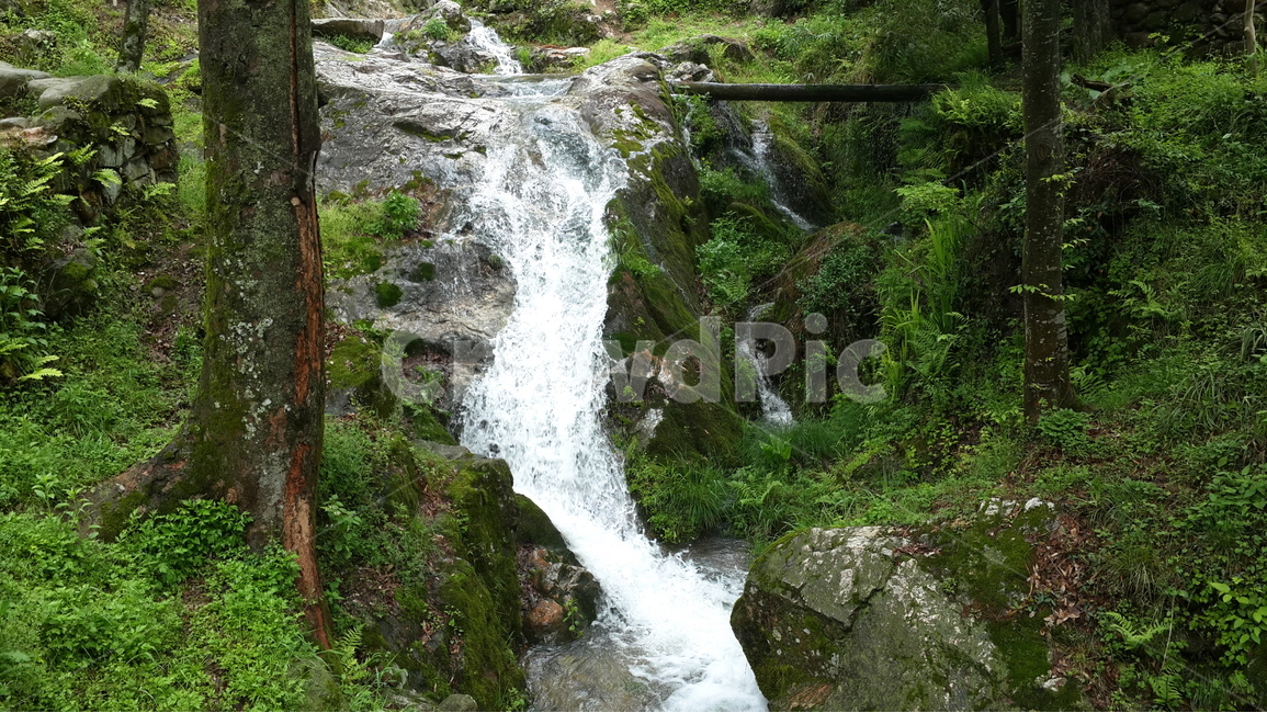 자연,소쇄원,폭포,계곡,숲,담양,자연,풍경,nature,landscape,water,물,outdoors,옥외,river,강,waterfall