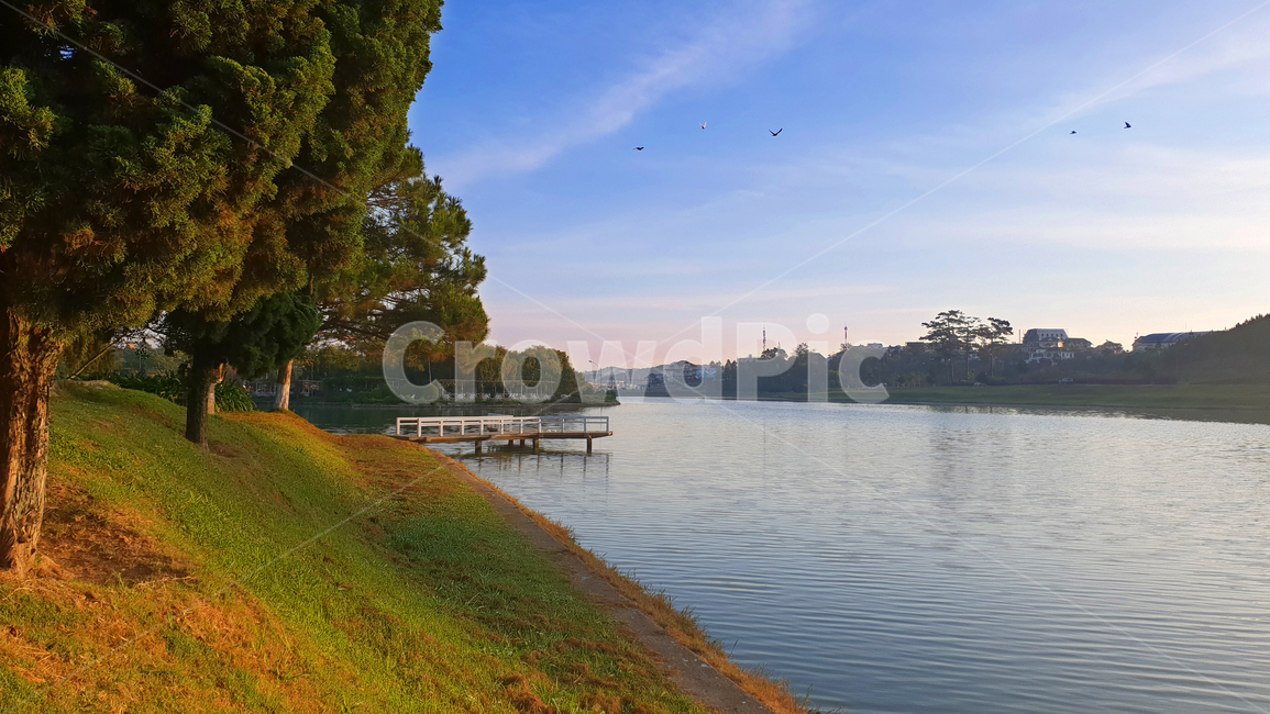 베트남,달랏,호수,water,물,nature,자연,outdoors,옥외,lake,새,고요함