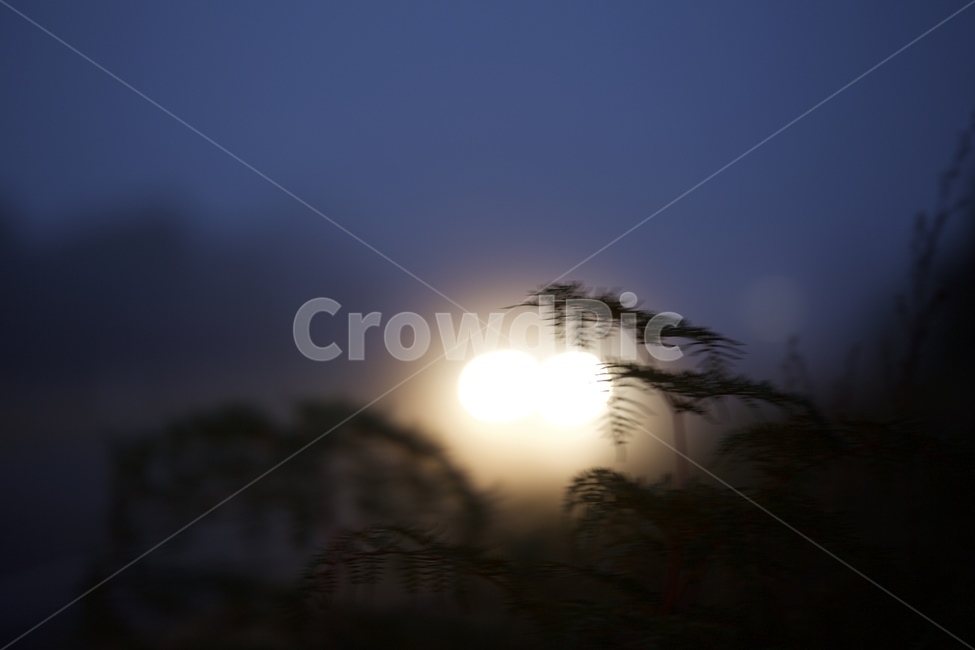 별,새벽,밤,자연,호수