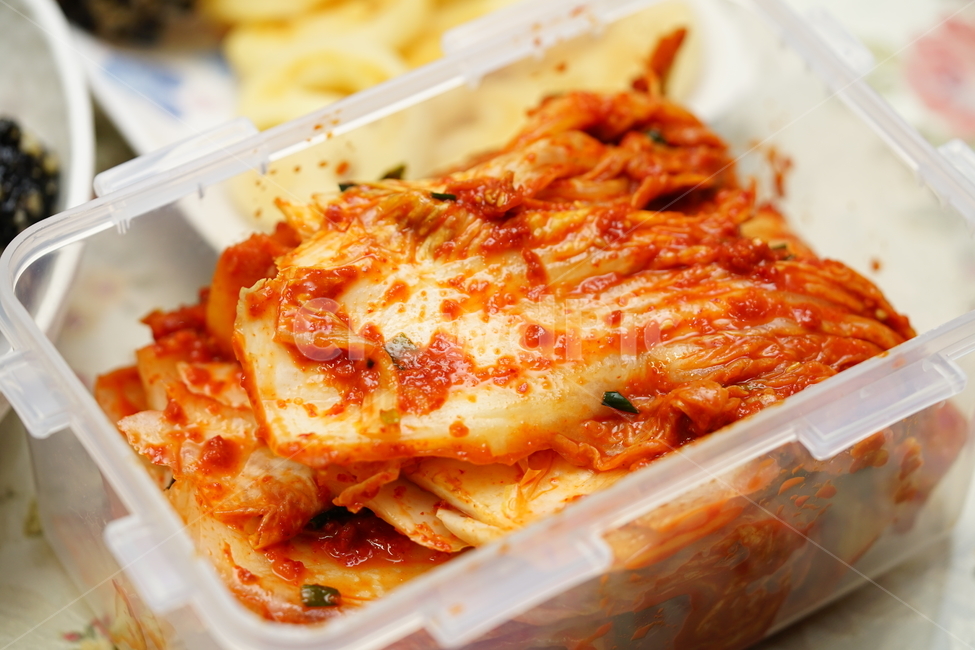김치,한국,한국사람,한국음식,코리아,배추,채소,반찬,우리음식,음식,푸드,한식,집밥,먹거리,먹방,일상,스냅,우리것,매콤,입맛,음식,식재료,요리,food,cook,meal,dishes,food reserves,채소,야채,vegetables,한식,한국음식,한국요리,korean food,korean dishes,korean meal,korean cook