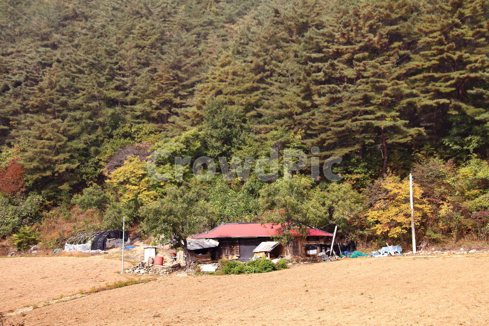 시골,산골,가을풍경,촌집,자연풍경,시골,마을,풍경,landscape,country,rural,town
