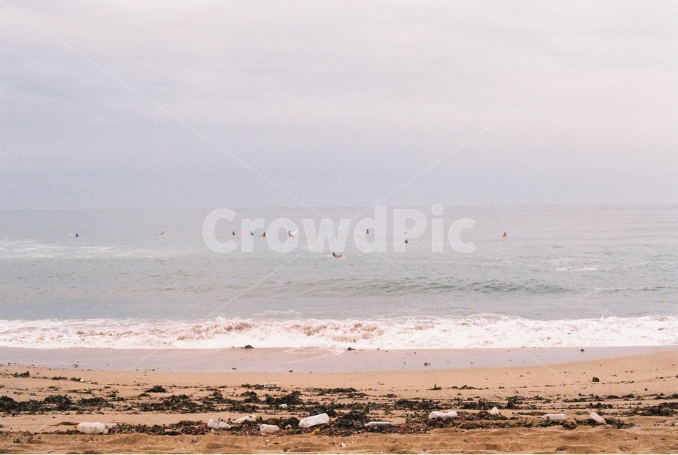 바다,나무,파도,하늘,제주도,자연,풍경,nature,landscape,해변,바다,beach,sea,감성,sensible,feeling,ocean,대양,water,물,outdoors,옥외,adventure,모험,leisure activities,레저 활동